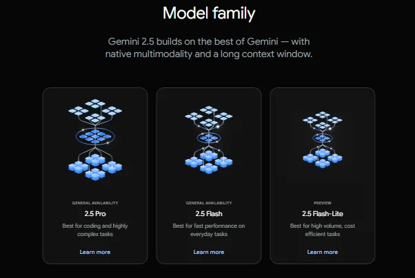 Gemini Model Family