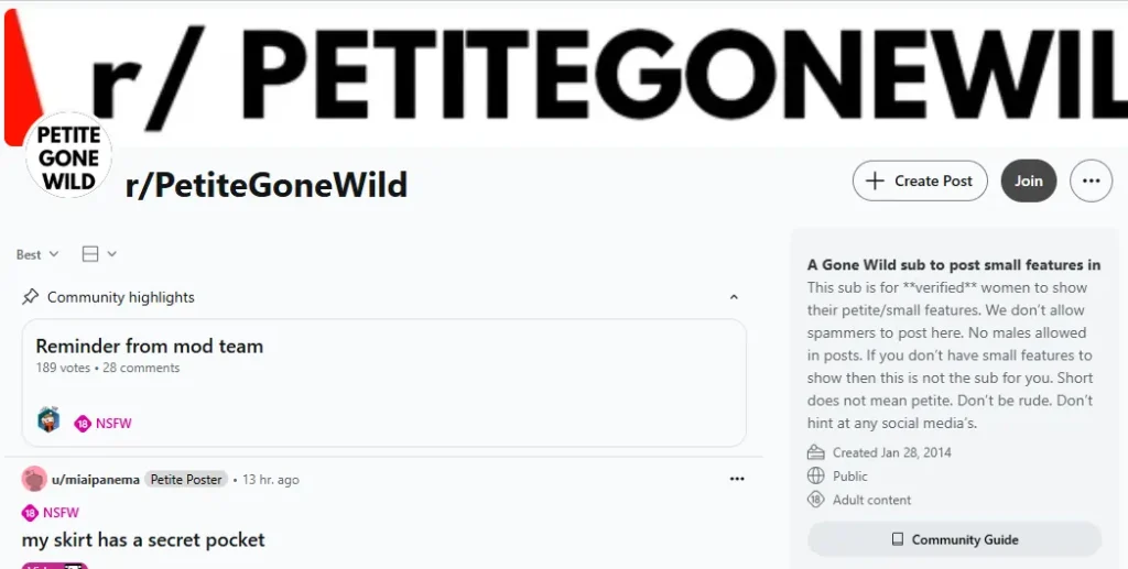NSFW Subreddit PetiteGoneWild