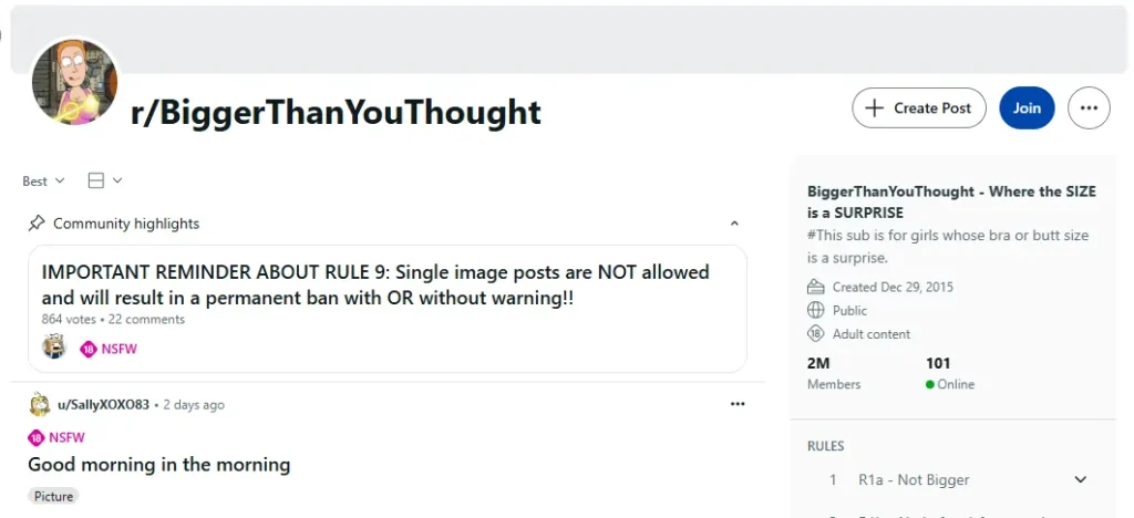 NSFW Subreddit rBiggerThanYouThought
