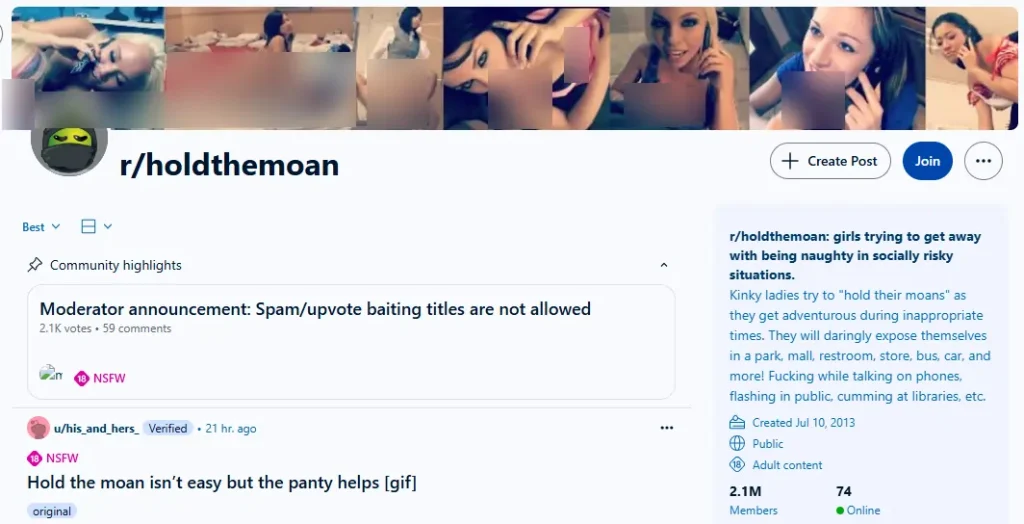 NSFW Subreddit rholdthemoan
