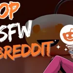 Top NSFW Subreddits