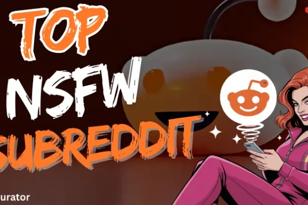 Top NSFW Subreddits