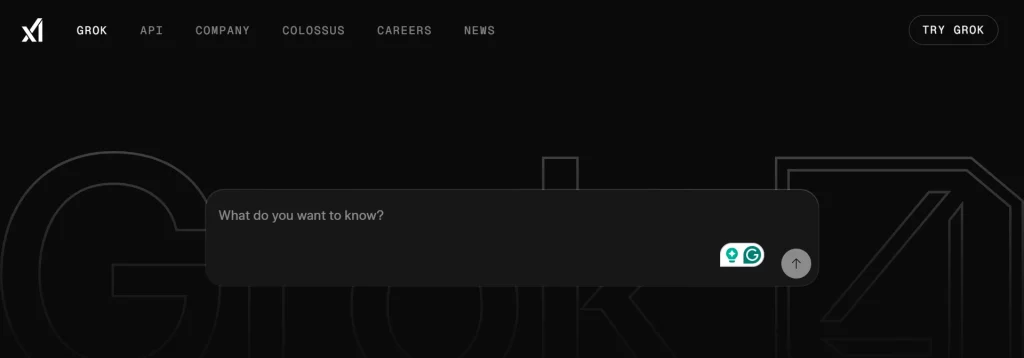 xAI Grok